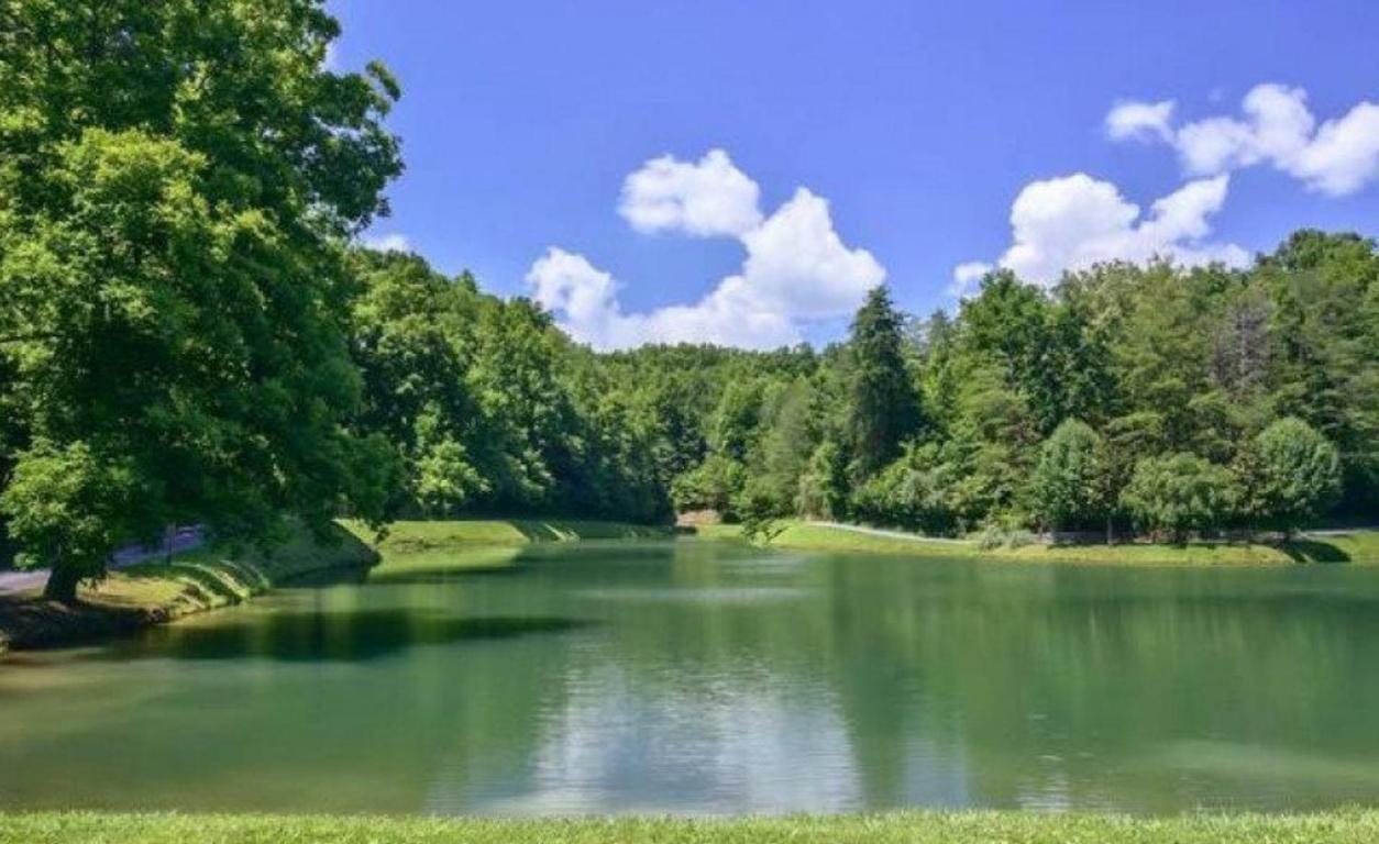 Mountain Lake Lodge, Hot Tub, Theater Room, 1089 Free Tickets Each Paid Day, Dollywood And More 세비어빌 외부 사진