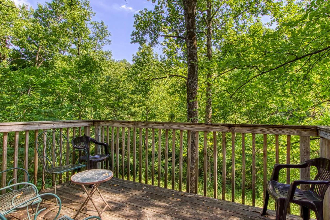 Mountain Lake Lodge, Hot Tub, Theater Room, 1089 Free Tickets Each Paid Day, Dollywood And More 세비어빌 외부 사진