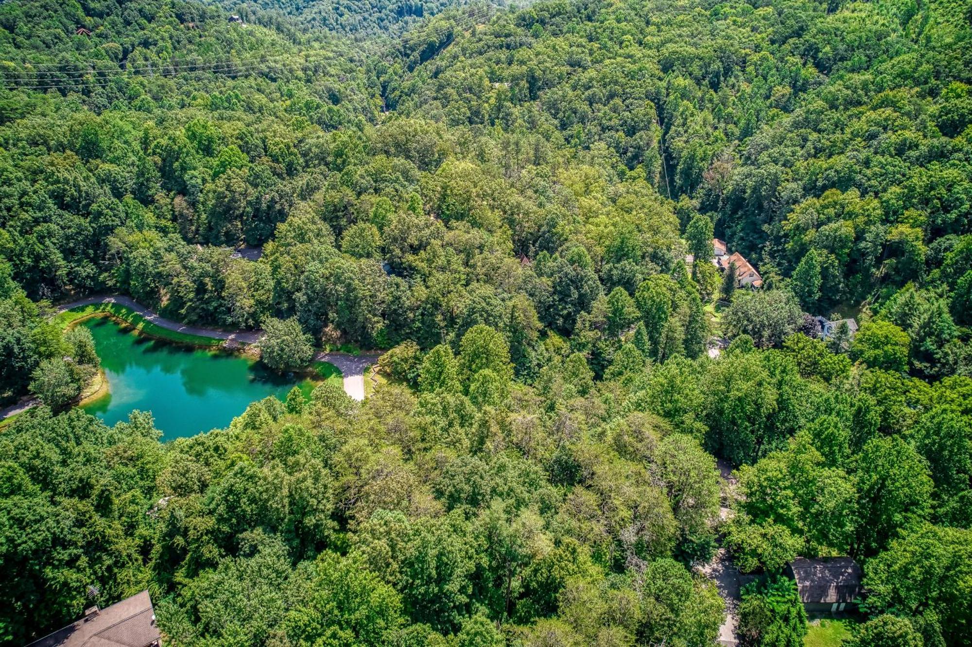 Mountain Lake Lodge, Hot Tub, Theater Room, 1089 Free Tickets Each Paid Day, Dollywood And More 세비어빌 외부 사진